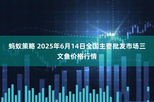 蚂蚁策略 2025年6月14日全国主要批发市场三文鱼价格行情