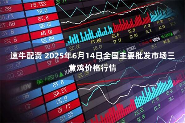 速牛配资 2025年6月14日全国主要批发市场三黄鸡价格行情
