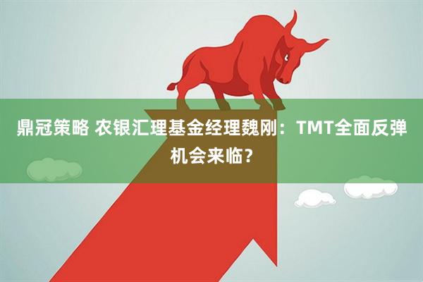 鼎冠策略 农银汇理基金经理魏刚：TMT全面反弹机会来临？