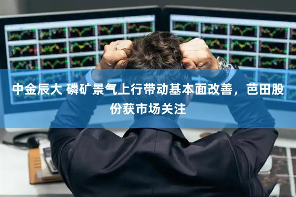 中金辰大 磷矿景气上行带动基本面改善，芭田股份获市场关注