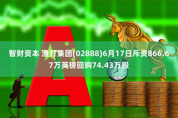 智财资本 渣打集团(02888)6月17日斥资866.67万英镑回购74.43万股