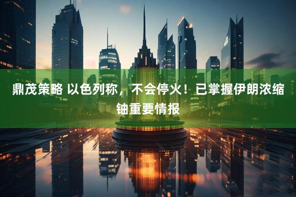 鼎茂策略 以色列称，不会停火！已掌握伊朗浓缩铀重要情报