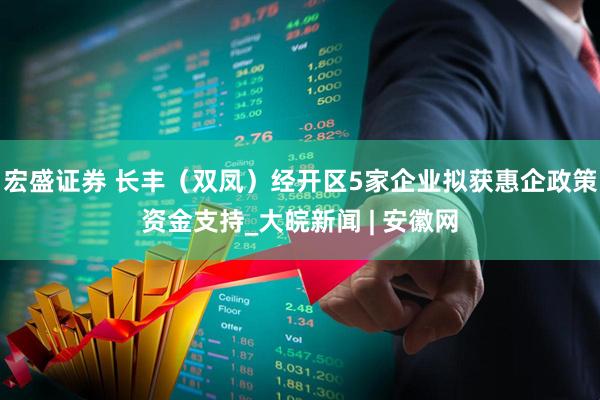 宏盛证券 长丰（双凤）经开区5家企业拟获惠企政策资金支持_大皖新闻 | 安徽网