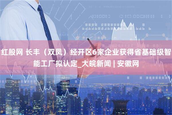 红股网 长丰（双凤）经开区6家企业获得省基础级智能工厂拟认定_大皖新闻 | 安徽网