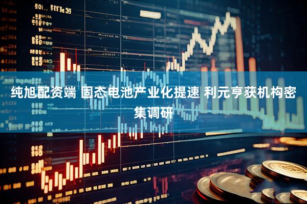 纯旭配资端 固态电池产业化提速 利元亨获机构密集调研