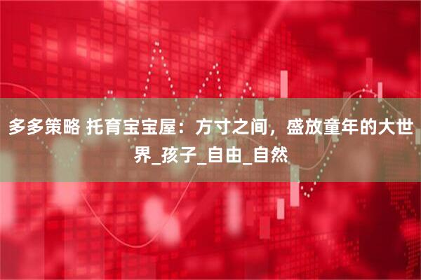多多策略 托育宝宝屋：方寸之间，盛放童年的大世界_孩子_自由_自然